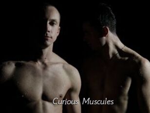 Curious_Muscules