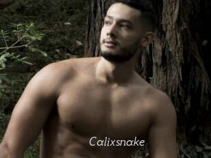 Calixsnake