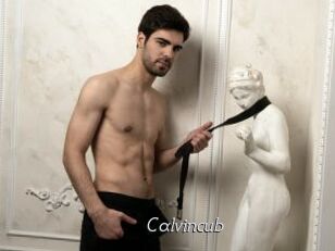 Calvincub