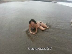 Canariona23