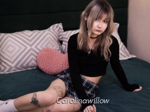 Carolinawillow