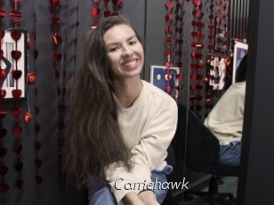 Carriehawk