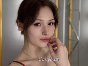 Carrybush