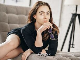 Carryx
