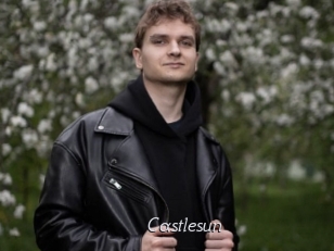 Castlesun