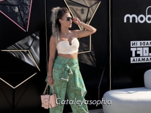 Cataleyasophia