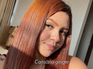 Catalinaginger