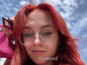 Catecovil