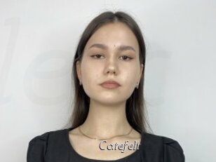 Catefelt