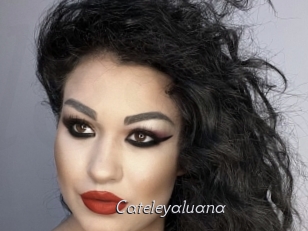 Cateleyaluana