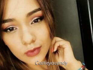 cattleyacandy Le Scandale