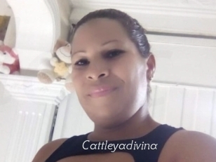 Cattleyadivina