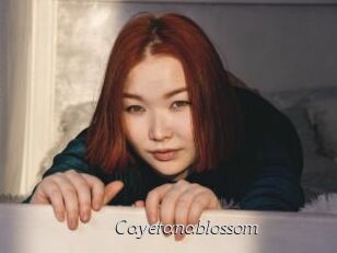 Cayetanablossom