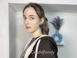 Cendelfandy