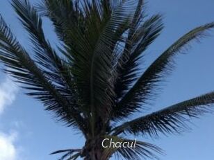 Chacul