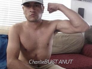 CharlieBUSTANUT