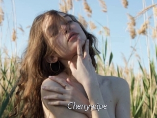 Cherrywipe