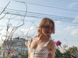 Chloecolts