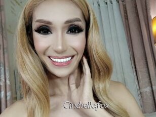 Cindrellafox