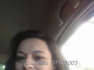 Coccinella-07105003