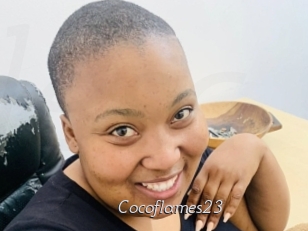 Cocoflames23