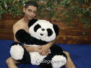 Collegegaym