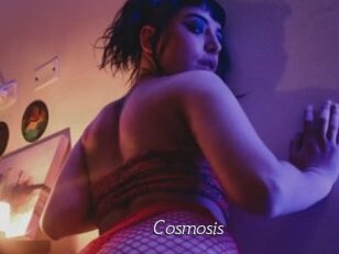 Cosmosis