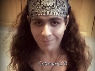Cottontail28