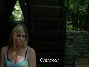 Crittacat