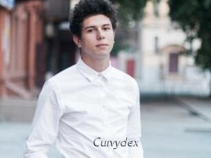 Curvydex