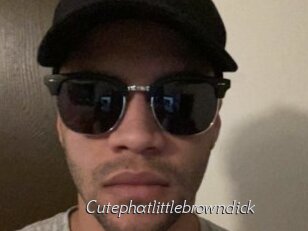 Cutephatlittlebrowndick