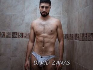 DAVID_ZANAS