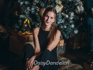 DaisyDandelion
