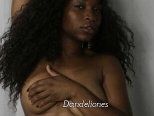 Dandeliones Le Scandale