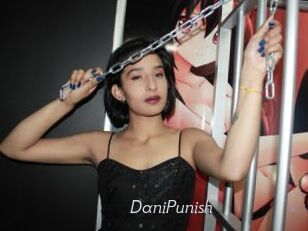DaniPunish