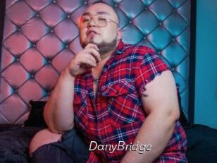 DanyBridge