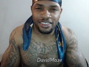 David_Maze