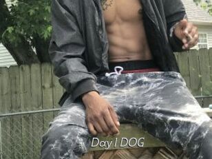 Day1DOG