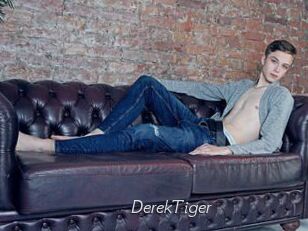 DerekTiger