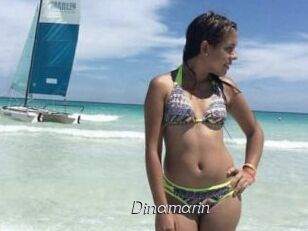 Dinamarin