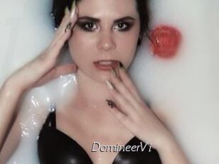 DomineerVi