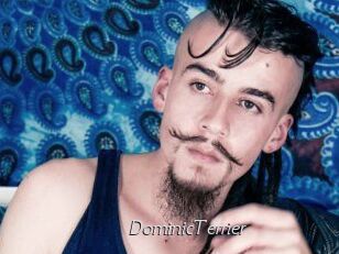 DominicTerrier