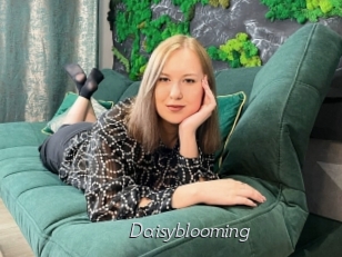 Daisyblooming