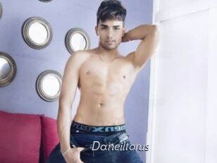 Daneil_torus