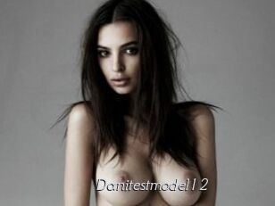 Danitestmodel12