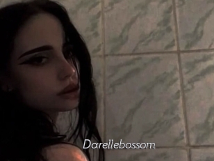 Darellebossom