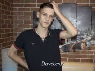 Davecerus