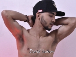 David_harlow