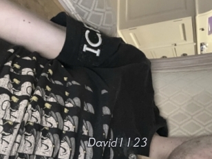 David1123