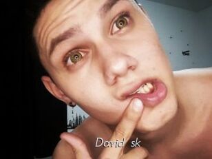 david_sk Le Scandale